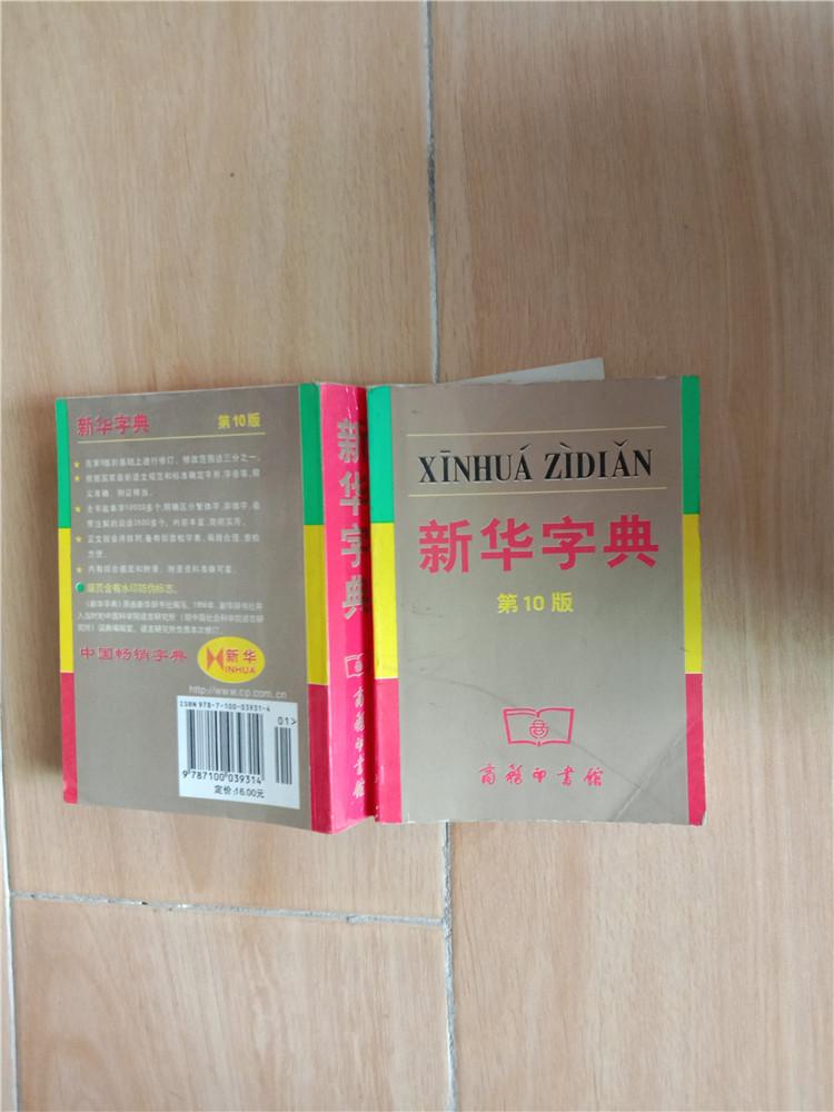 新华字典第10版64开