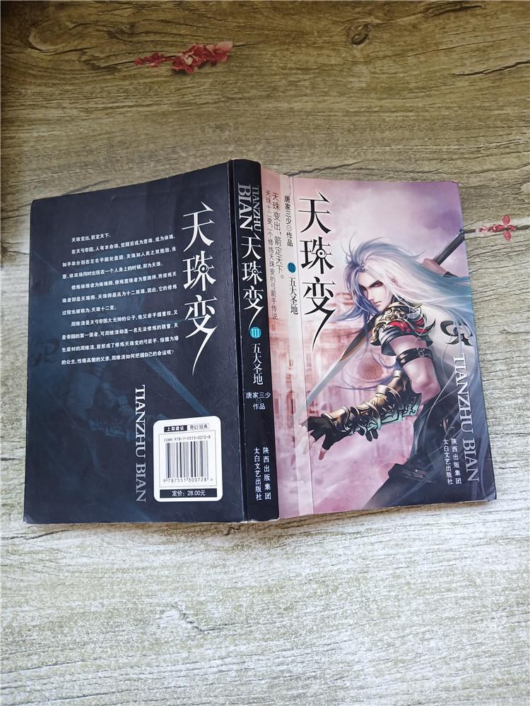 天珠变iii五大圣地封面受损