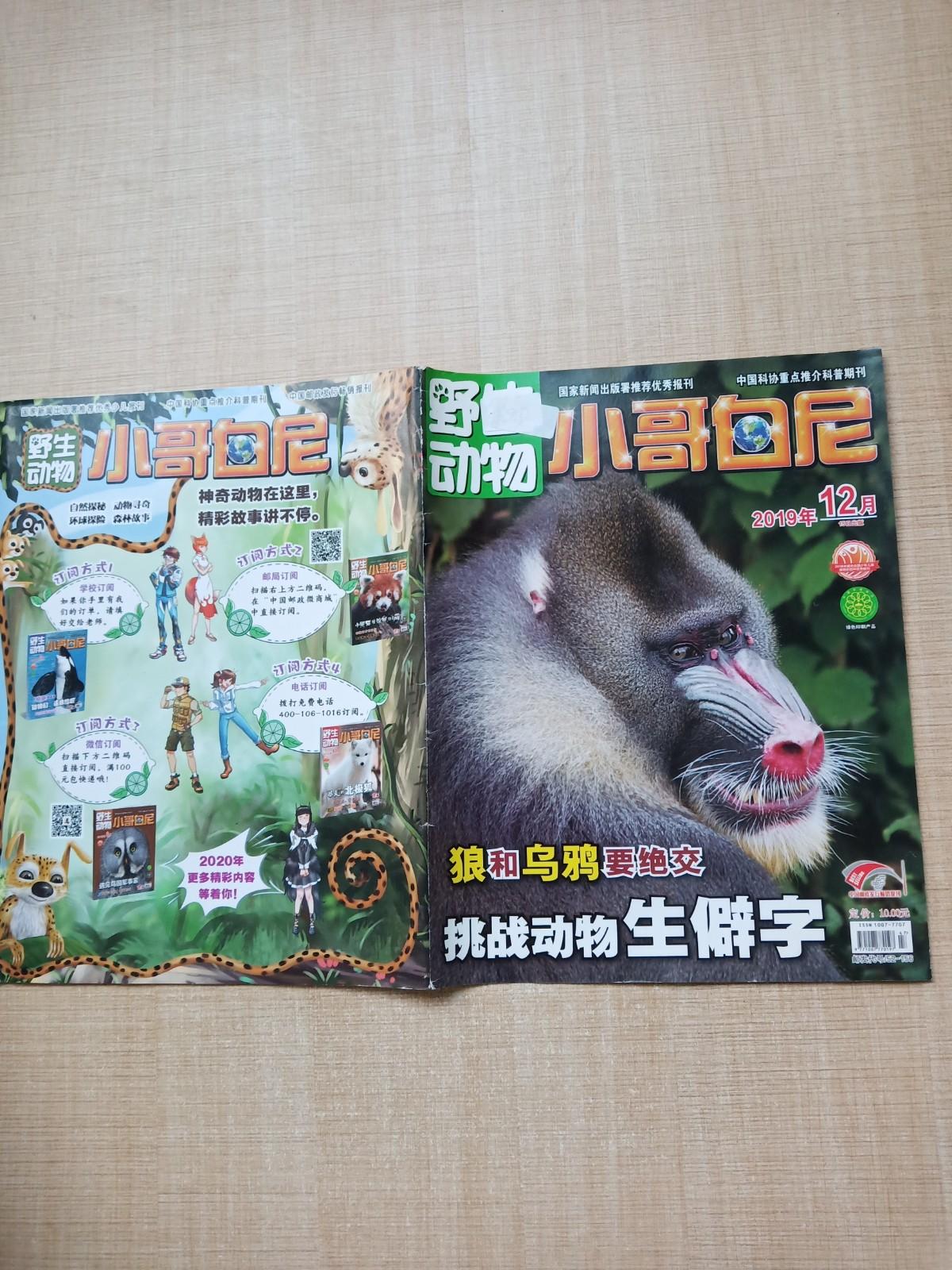 野生动物小哥白尼201912杂志封面有贴纸