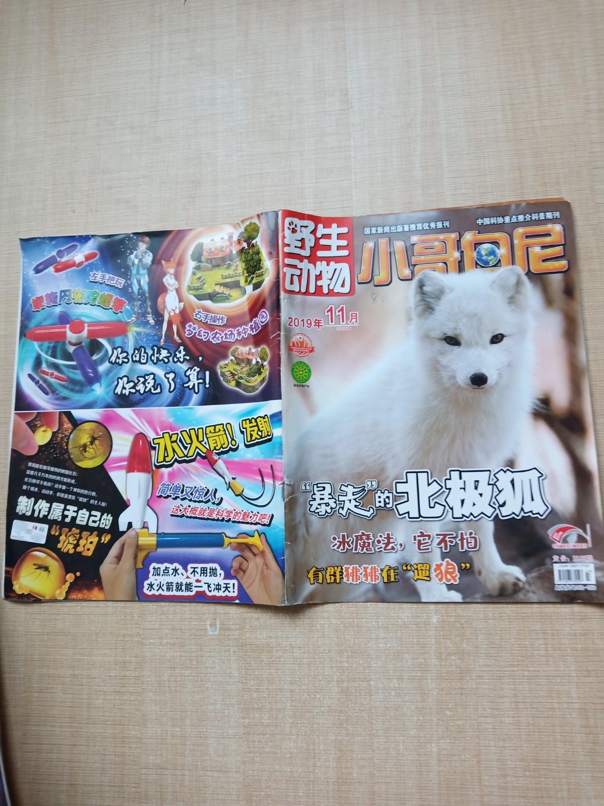 野生动物小哥白尼201911杂志封面有笔迹书脊受损
